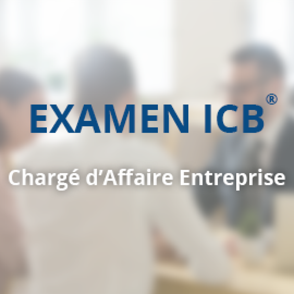 Examen ICB Affaires Entreprise