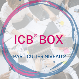 ICB® BOX – Conseiller des Particuliers Niveau 2